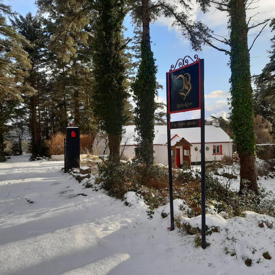 Back2Roots - Beautifully Restored Cottage, Doochary Экстерьер фото